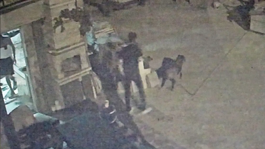Arkadaşına Sinirlenip Köpeği Katletti