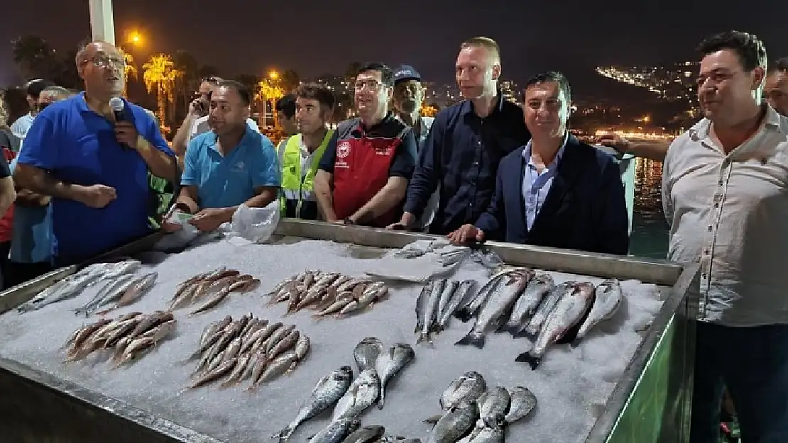 Bodrum'da Denize 25 Bin Çipura Bırakıldı