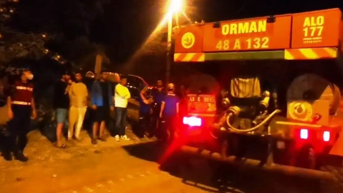 Gökova'daki Orman Yangını Mahalleliyi Sokağa Döktü