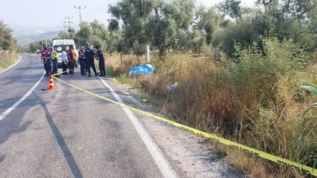 Milas'ta Akşam Eve Dönmeyen Genç Adamın Yol Kenarında Cansız Bedeni Bulundu