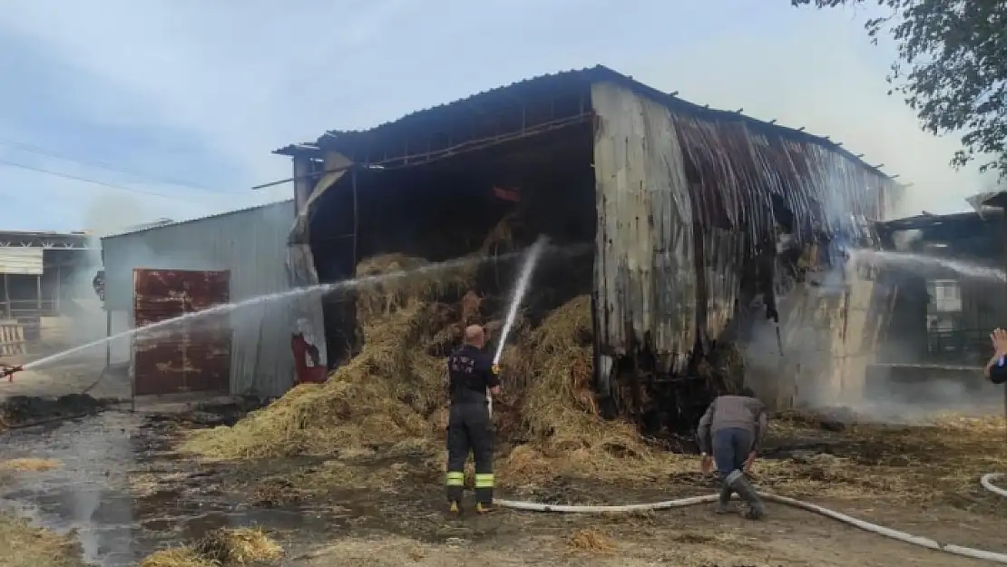 Milas'ta Kaynak Makinesinden Çıkan Kıvılcım Samanları Küle Çevirdi