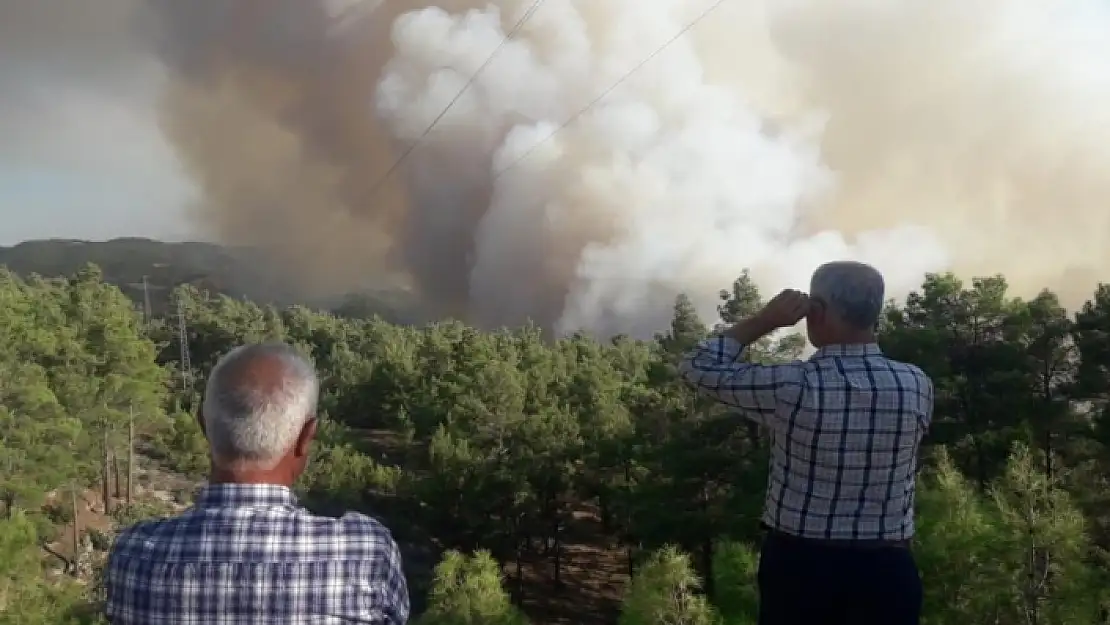 Muğla-Denizli İl Sınırındaki Orman Yangını Sürüyor