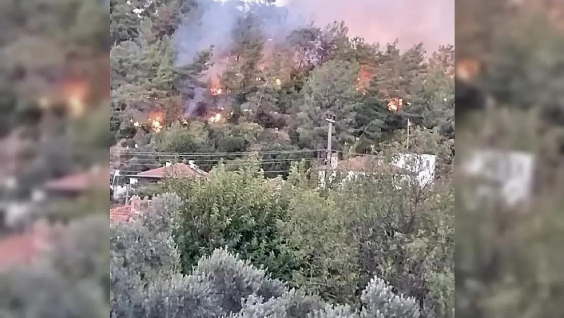 Ula'da Yıkan Orman Yangını ile İlgili 1 Kişi Gözaltına Alındı