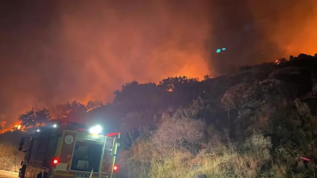 Bodrum'da Makilik Alanda Yangın