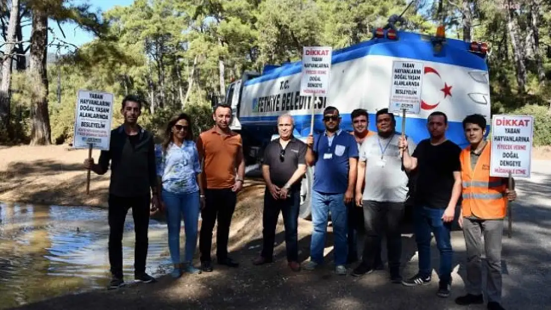 Fethiye'de Yaban Hayvanları İçin Ormana Yiyecek Götürüldü