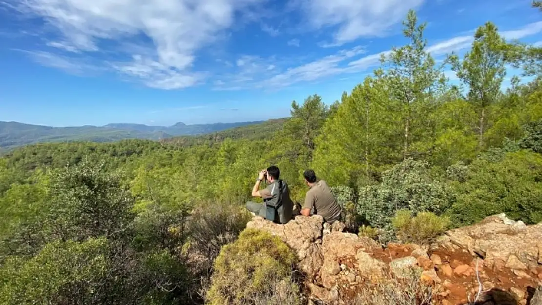 Muğla'da Av Koruma Çalışmaları Devam Ediyor