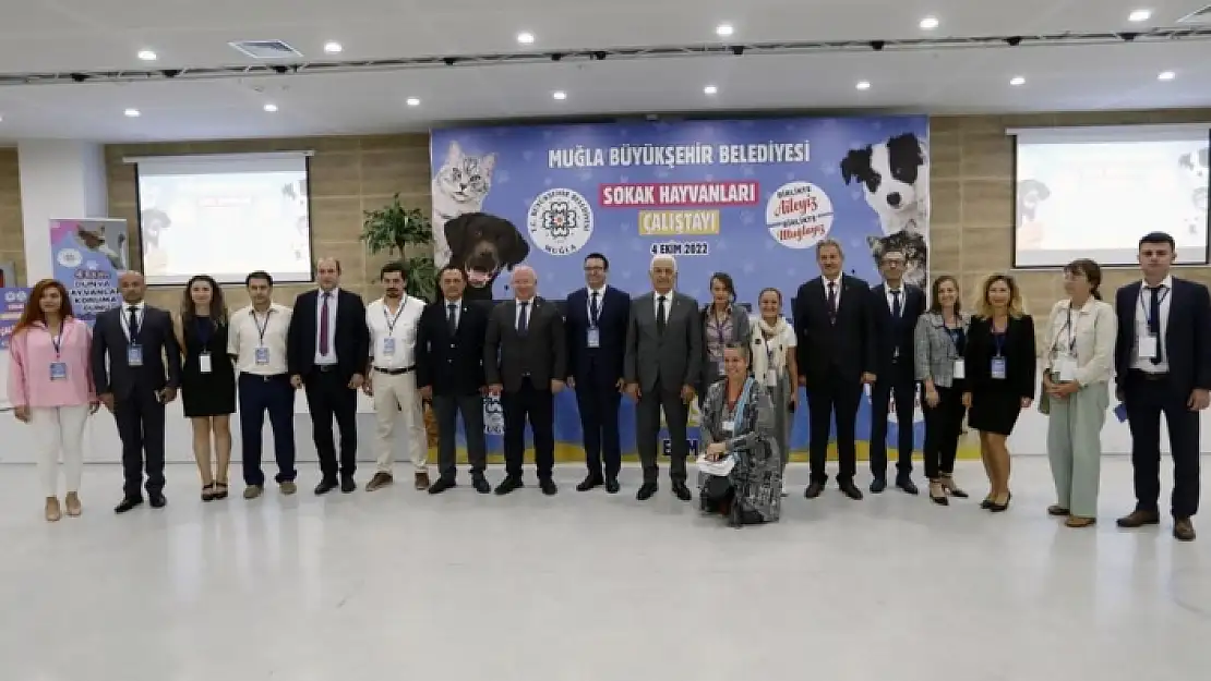 Muğla'da İlki Gerçekleştirilen Sokak Hayvanları Çalıştayı'nın Sonuç Bildirgesi Yayınlandı