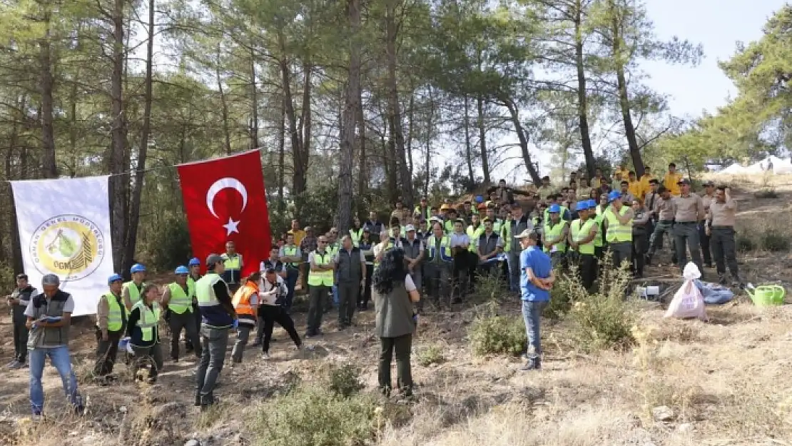 Muğla'daki 2022 Yılı Silvikültür Tatbikatları Sürüyor