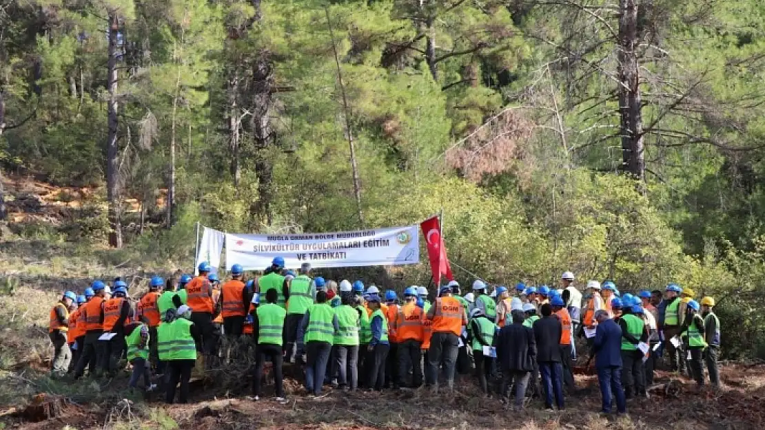 Muğla'daki 2022 Yılı Silvikültür Tatbikatları Sürüyor