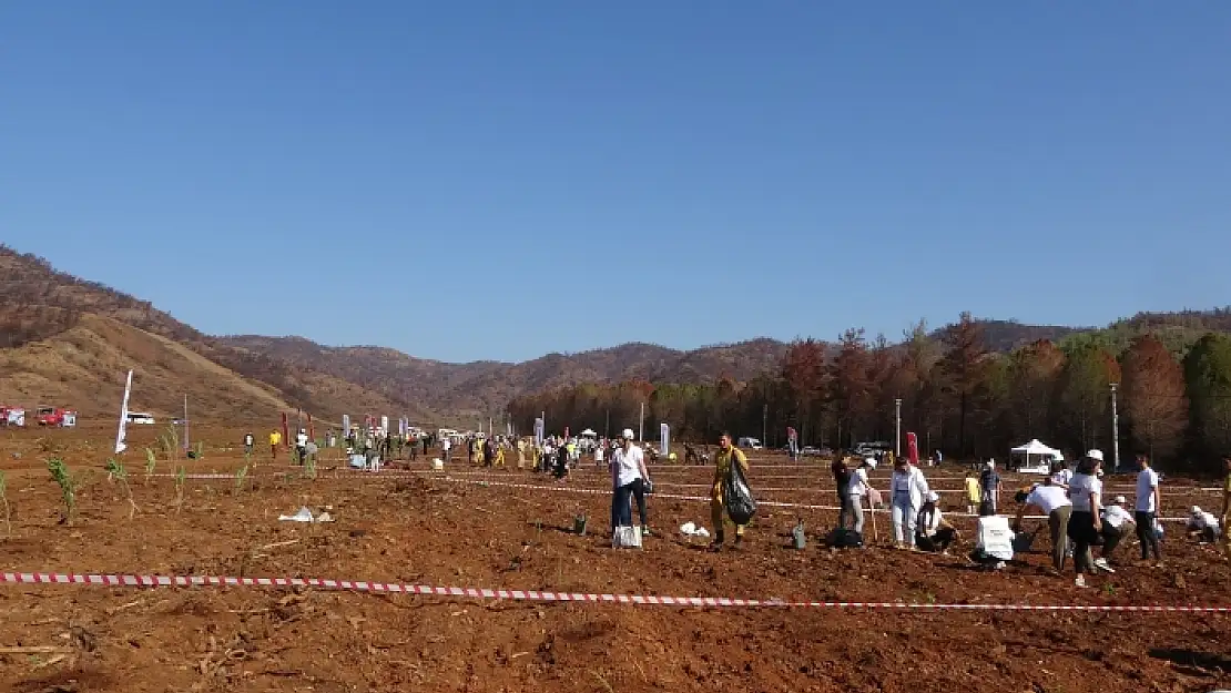 11 Kasım Milli Ağaçlandırma Gününde Marmaris'te 11 Bin Fidan Dikildi