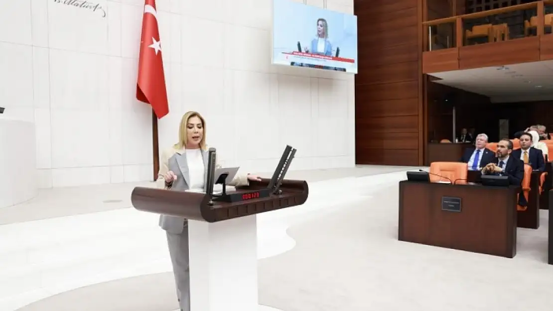 AK Parti Muğla Milletvekili Gökcan: Türk Basınının Zenginleşmesini Sağladık