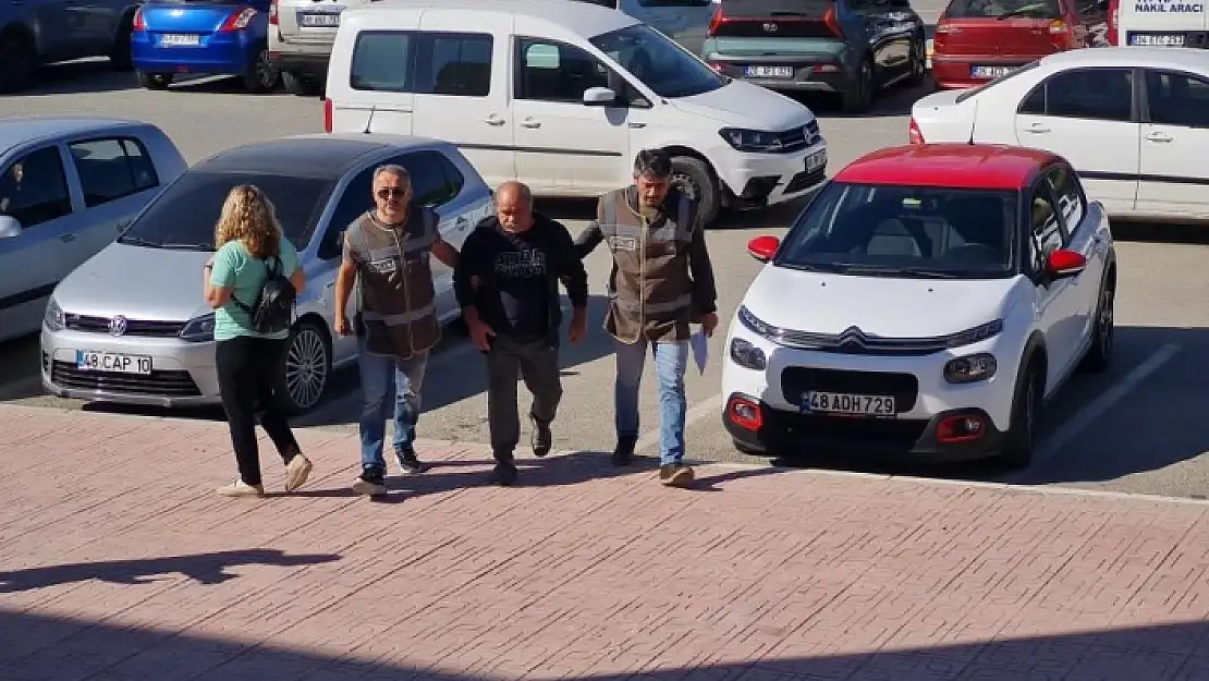 Bodrum'daki Köpek Zehirlenmesiyle İlgili 1 Gözaltı