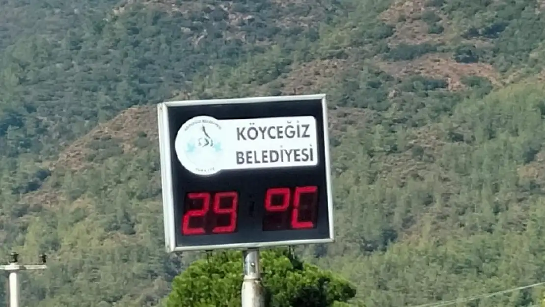Köyceğiz'de Pastırma Yazı Sıcakları Yaşanıyor