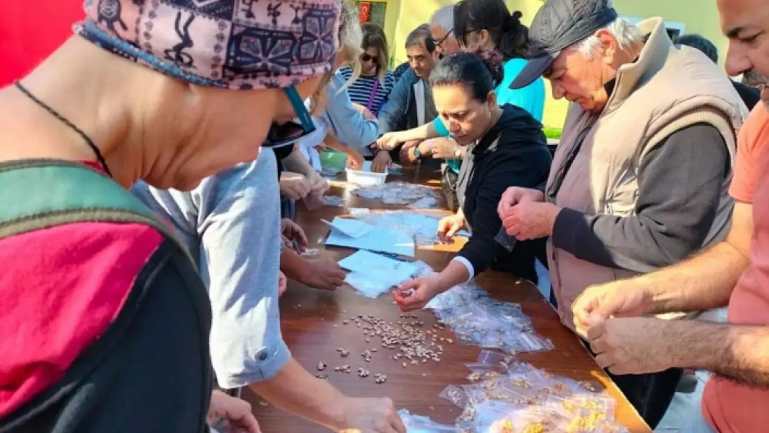 Köyceğiz'de Ata Tohumları Ücretsiz Dağıtıldı
