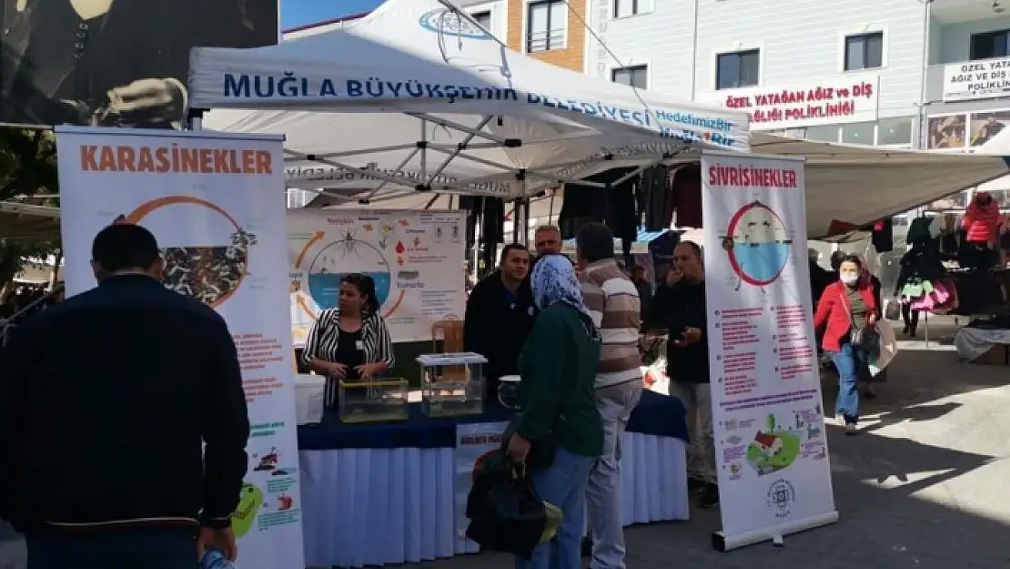 Muğla'nın 13 İlçesinde Vektörle Mücadele İçin Bilgilendirme Standları Kuruldu