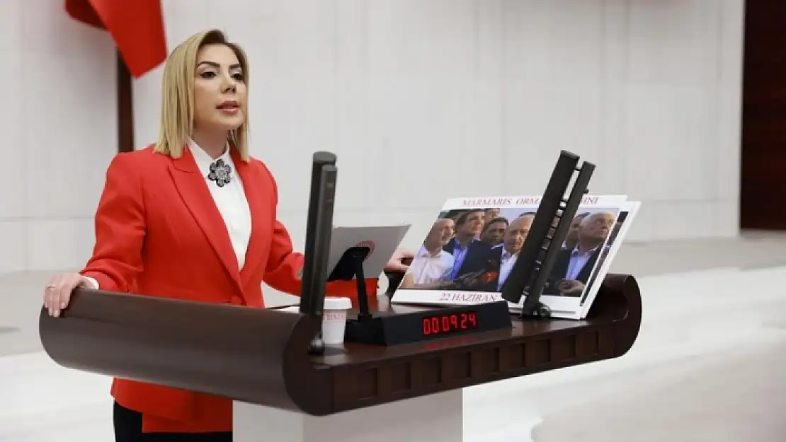 Ak Parti Muğla Milletvekili Gökcan'dan 2023 Mesajı