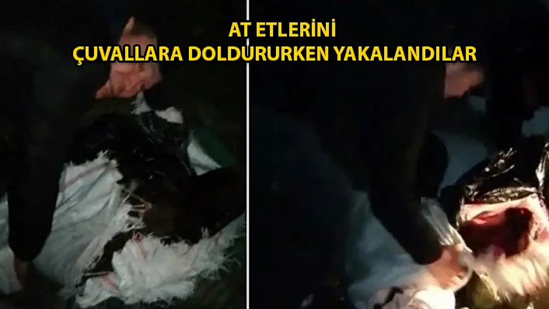 At Keserken Yakalandılar: 2 Kişi Gözaltında