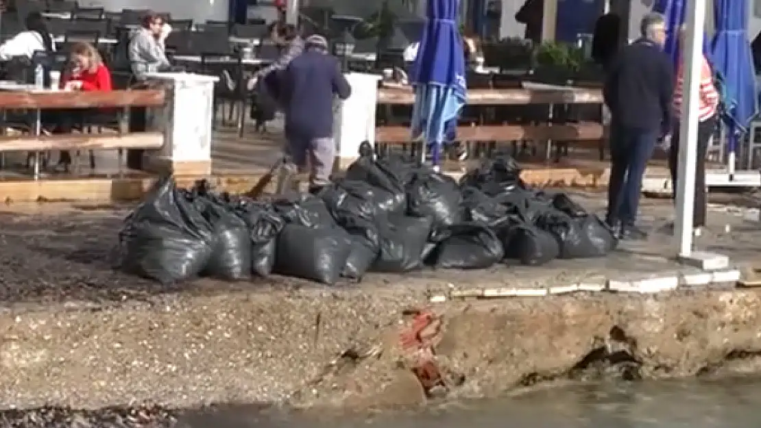 Bodrum'da Sahile Sürüklenen Yosunlar Temizlendi