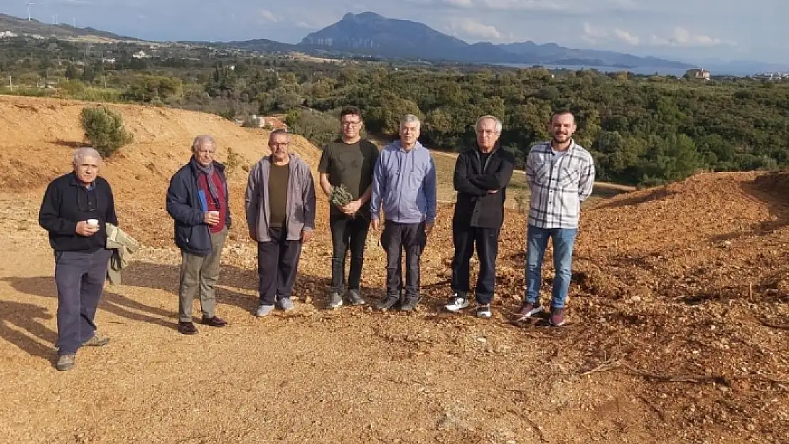 Datçalı Girişimci 15 Bin Adet Lavanta Dikti