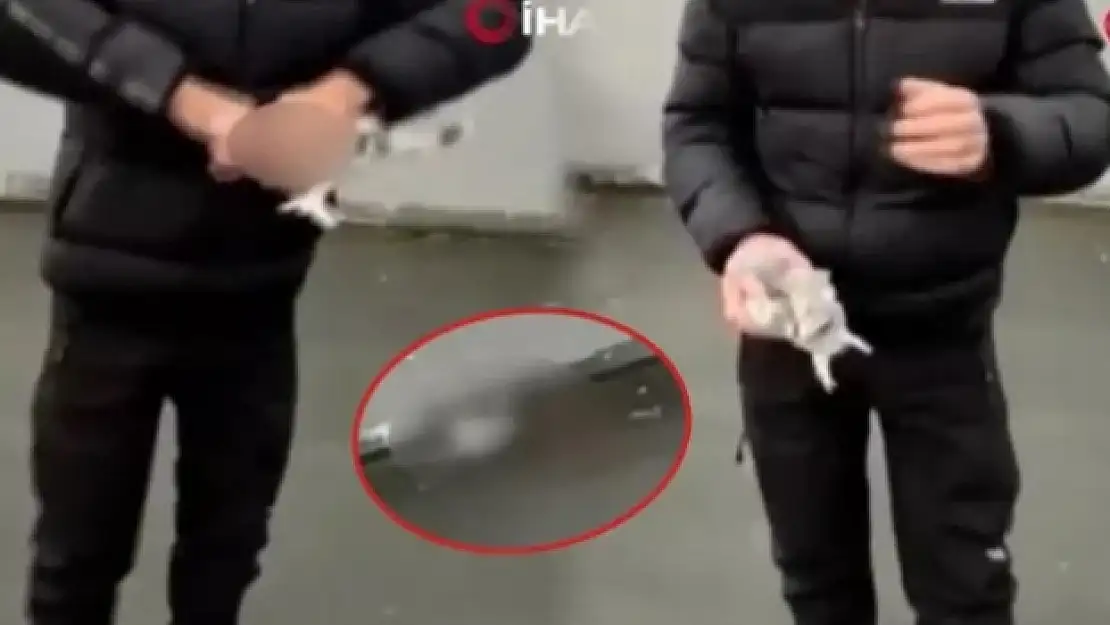 Güvercinin Kafasını Kopardığı Anların Görüntüsünü Sosyal Medyadan Paylaştı