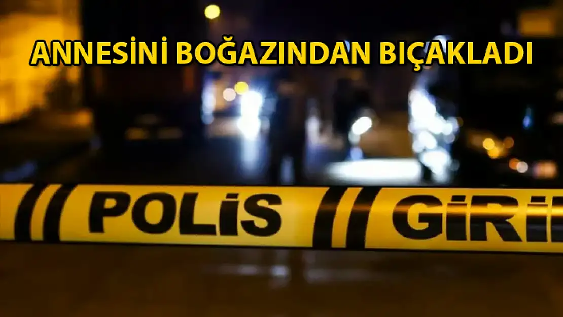 Korkunç Olay: Kavga Ettiği Annesini Boğazından Bıçaklayarak Öldürdü !