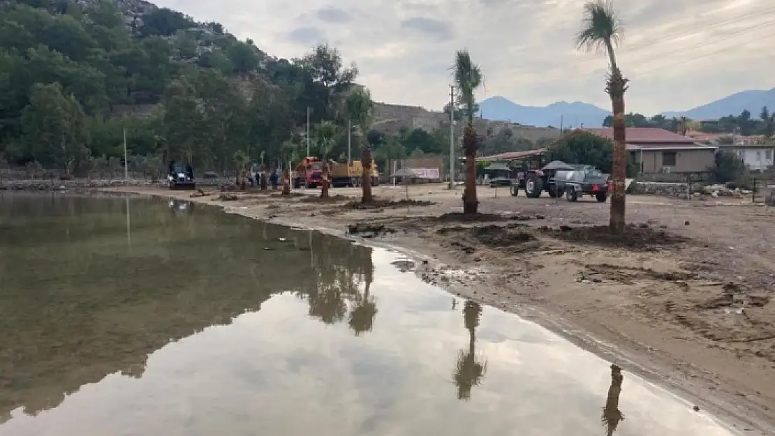 Marmaris'teki Halk Plajları Palmiye Ağaçlarıyla Donatıldı