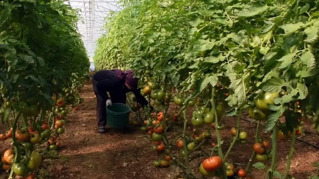 Muğla'da 'Yerelde Kırsal Kalkınma Modeli' Projesi Tanıtımı Yapıldı