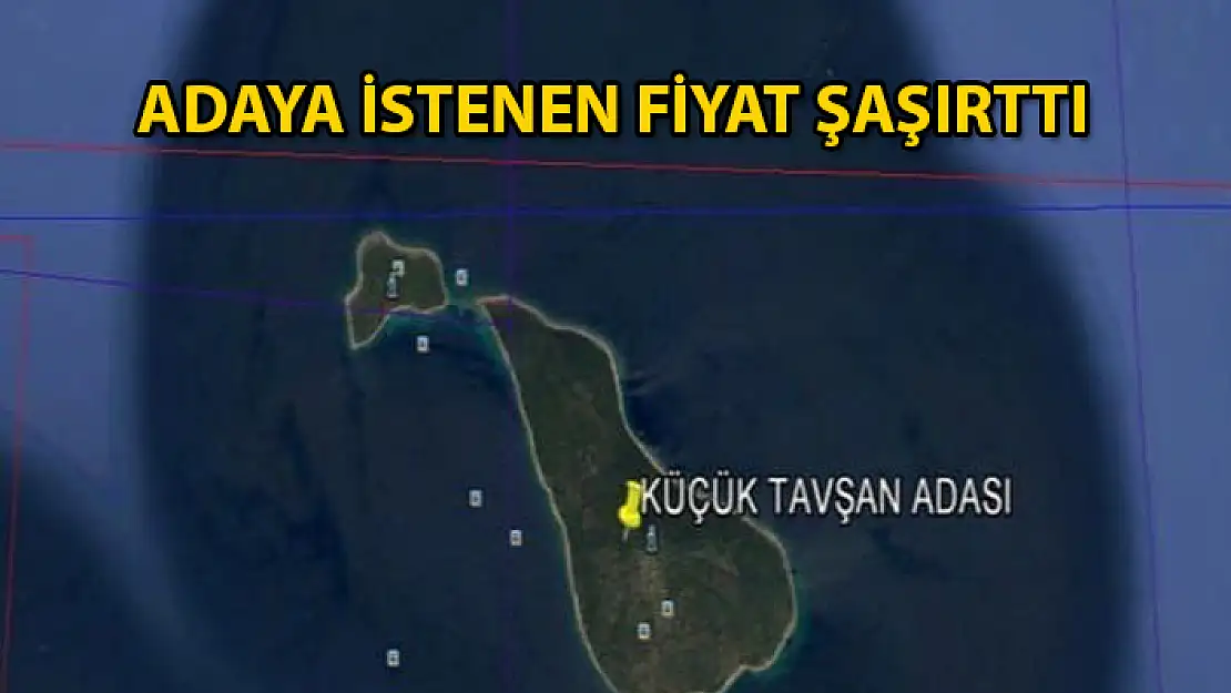 BODRUM'DA SATILIK ADA: FİYATI DUDAK UÇUKLATTI