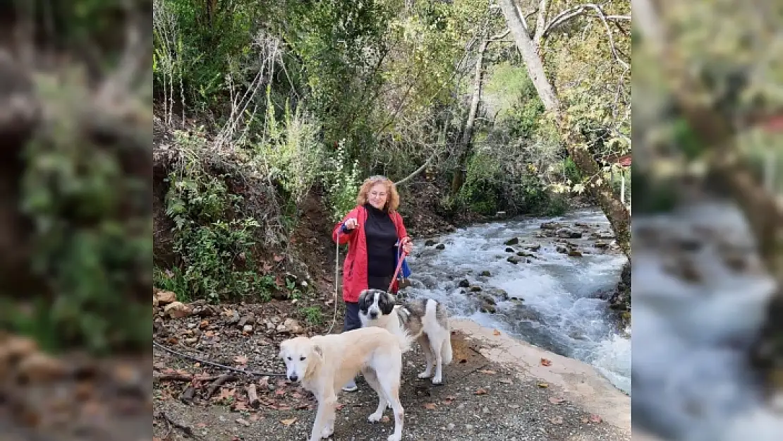 Köyceğiz'de Köpeği Tüfekle Katledilen Kadın Şikayetçi Oldu