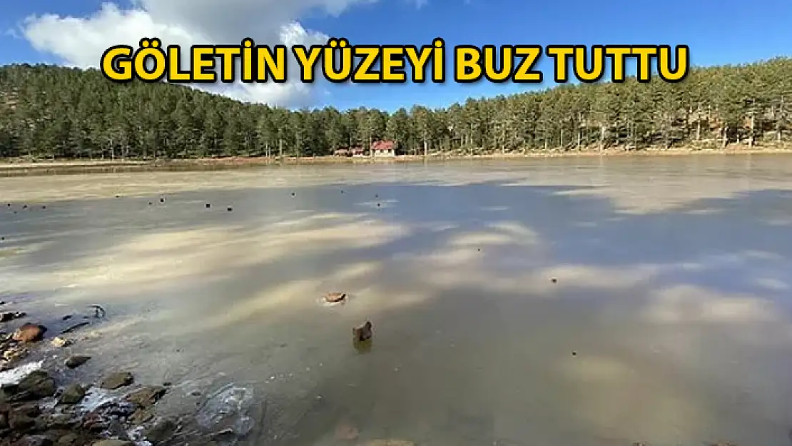 Köyceğiz'deki Gökçeova Göleti Buz Tuttu