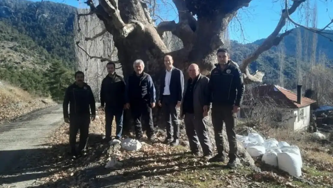 Köyceğiz Otmanlar ve Karaçam'da Bisiklet Rotaları Tespit Edildi