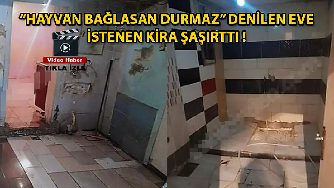 Metruk ve Bakımsız Ev İçin İstenen Kira Şaşırttı !