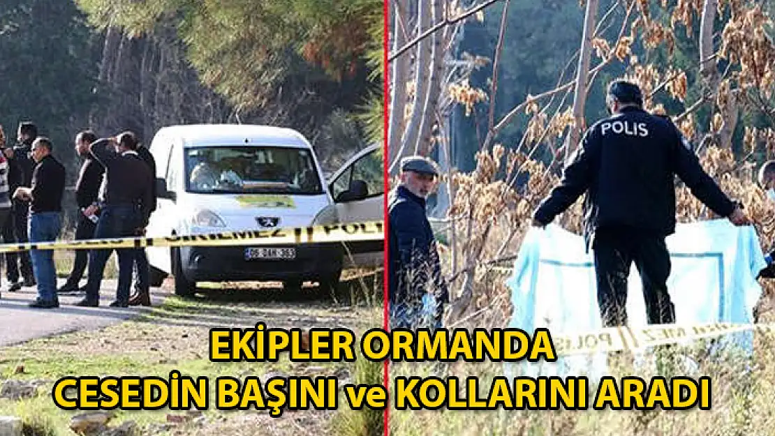 Ormanda Başı ve Kolları Olmayan Ceset Bulundu