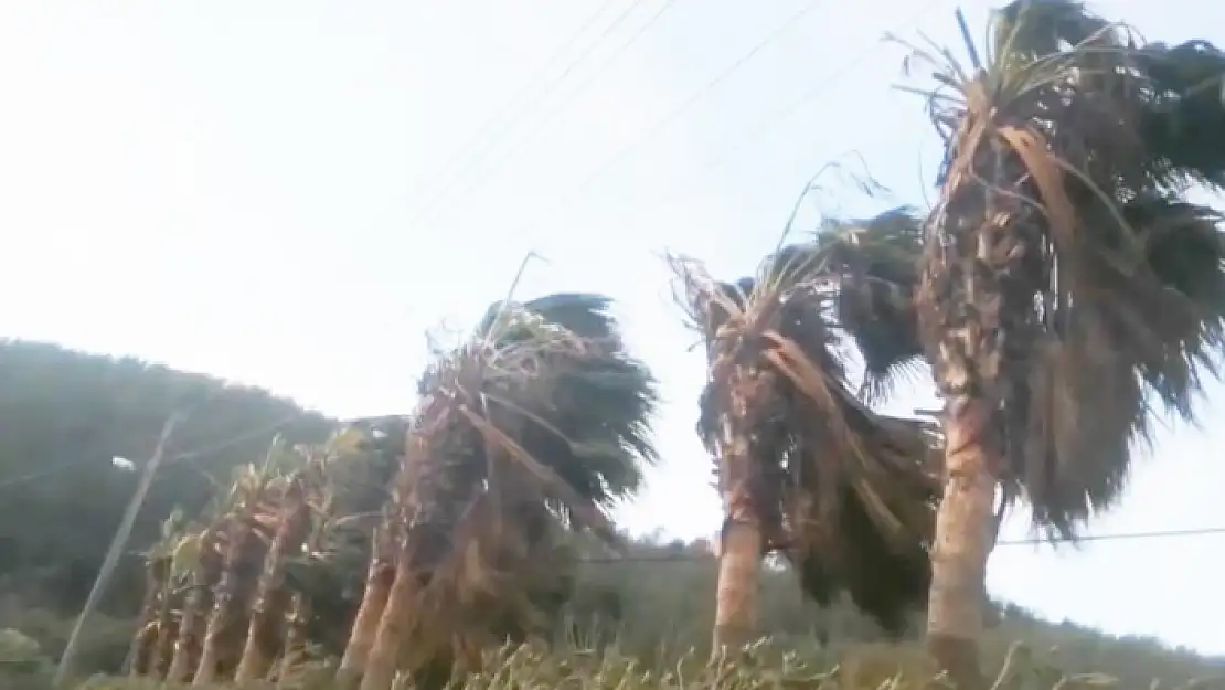 BODRUM-DATÇA ARASINDA FIRTINA BEKLENİYOR