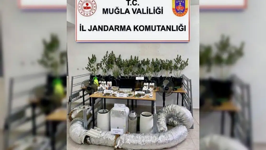 DALAMAN'DA UYUŞTURUCU OPERASYONU: 1 GÖZALTI