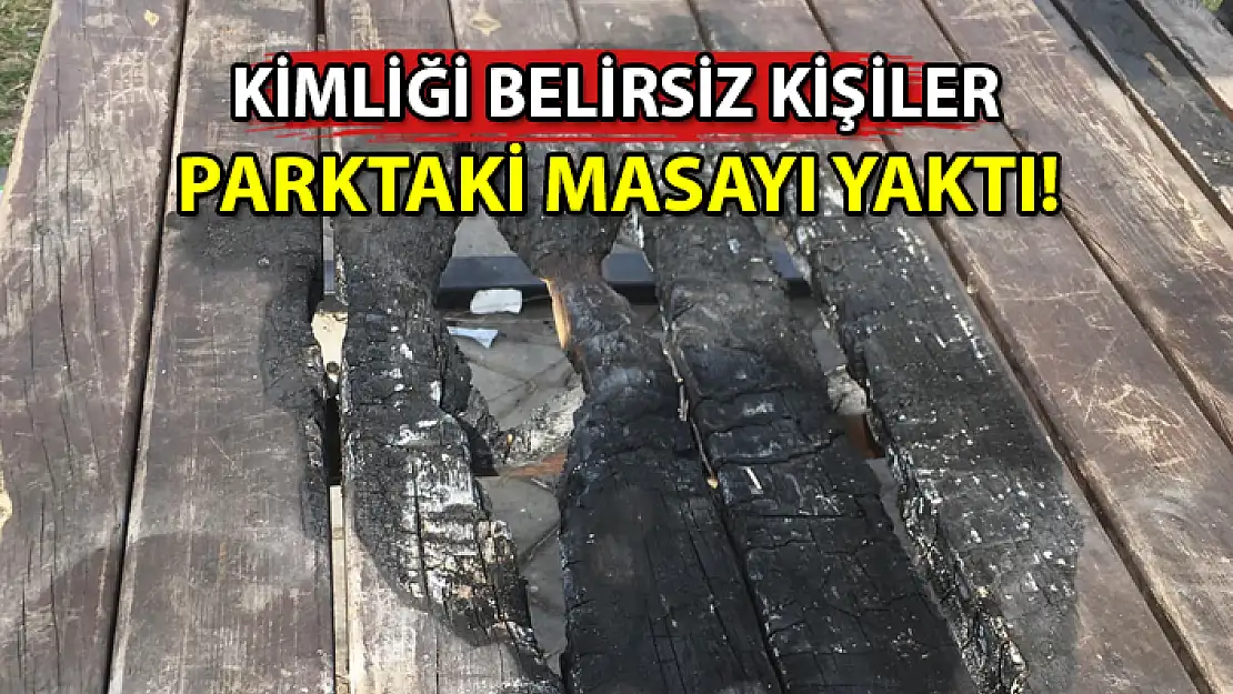 KÖYCEĞİZ'DE ŞAŞKINA ÇEVİREN OLAY: PARKTAKİ MASAYI YAKTILAR