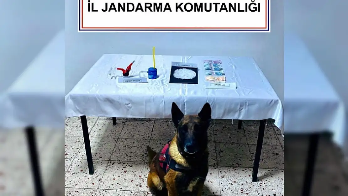 MENTEŞE'DE NARKOTİK KÖPEK KONT DESTEKLİ UYUŞTURUCU OPERASYONU YAPILDI