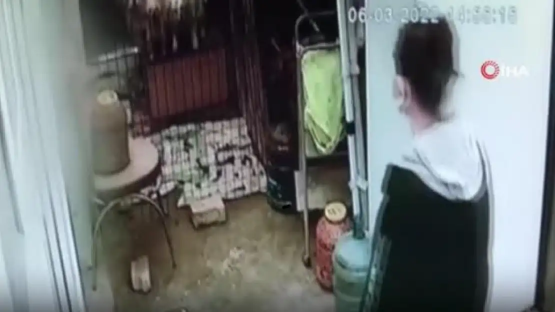 MİLAS'TA ÇALINAN KÖPEK 1 SENE SONRA 309 KİLOMETRE UZAKTA BULUNDU