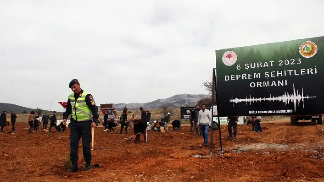 MUĞLA'DA 6 ŞUBAT DEPREM ŞEHİTLERİ HATIRA ORMANI'NA FİDANLAR DİKİLDİ