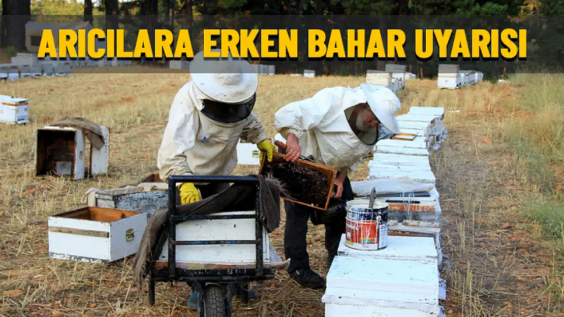 MUĞLA'DAKİ ARICILARA UYARI: ERKEN BAHAR BAKIMLARI İHMAL EDİLMEMELİ