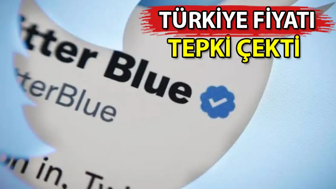 TWİTTER BLUE TÜRKİYE'DE KULLANIMA SUNULDU