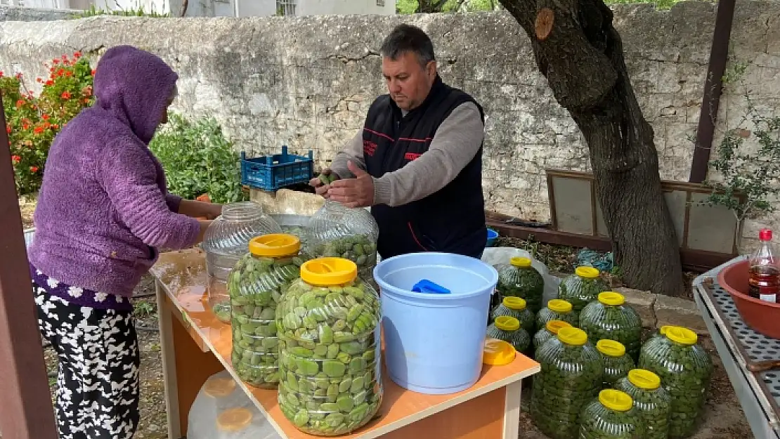 2 TON DATÇA ÇAĞLA BADEMİ, YURT DIŞINA İHRAÇ EDİLDİ