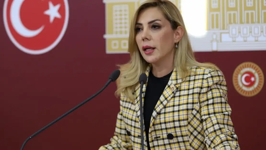 AK PARTİ MUĞLA MİLLETVEKİLİ GÖKCAN: ÜLKEMİZ VE MUĞLA'MIZ İÇİN ÖNEMLİ İŞLER YAPTIK