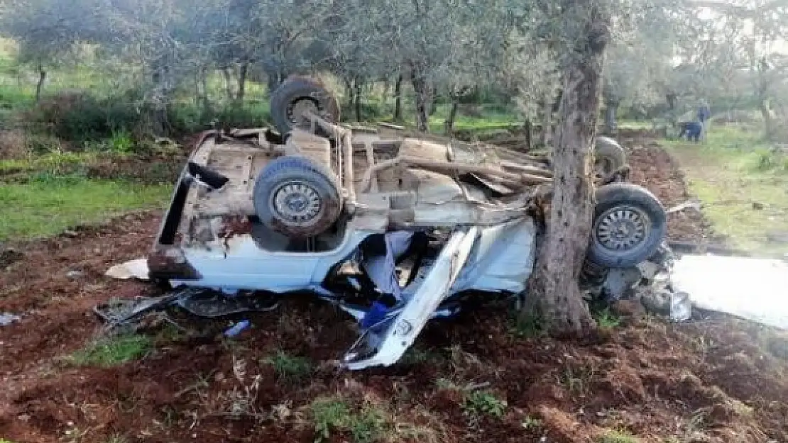 BODRUM'DA ÇARPIŞAN ARAÇLAR ZEYTİNLİĞE UÇTU: 8 YARALI
