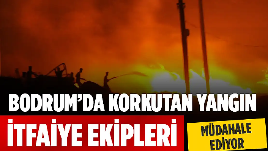 BODRUM'DA MAKİLİK ALANDA YANGIN: ALEVLER HIZLA BÜYÜYOR