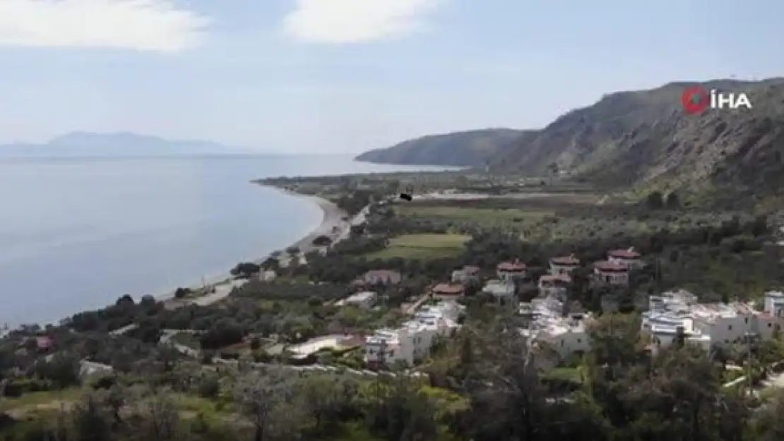 ÇÖKERTME KOYU'NDAKİ YEŞİL ÖRTÜ VE DEĞİŞİK TÜRDE ÇİÇEKLER SAHALARI SÜSLEDİ