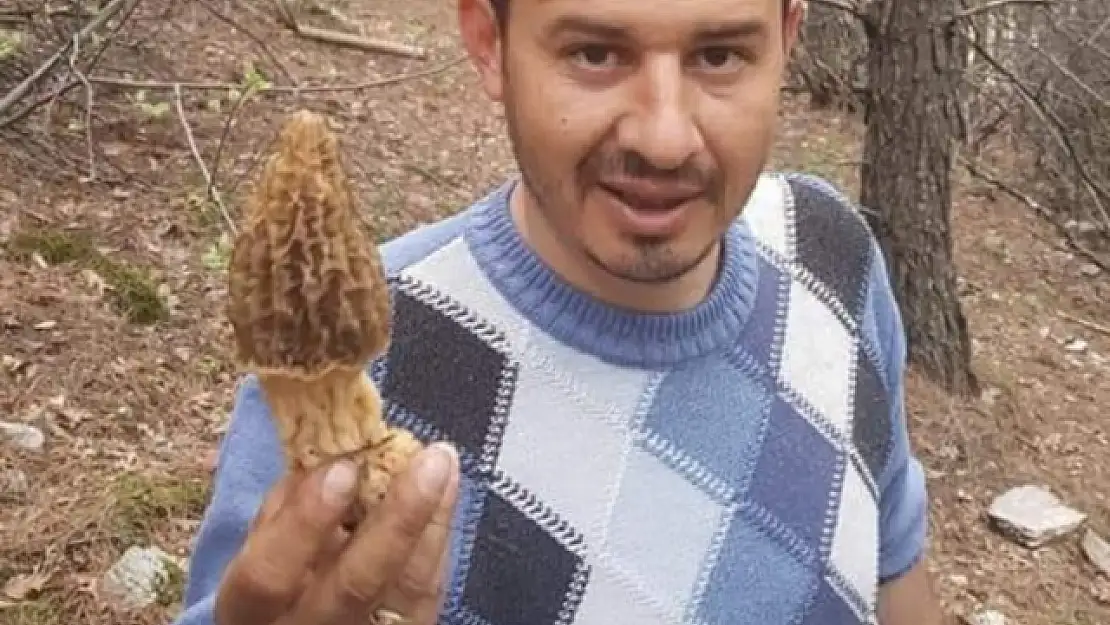 FİYATI ALTINLA YARIŞAN MANTAR KÖYLÜNÜN GEÇİM KAYNAĞI OLDU