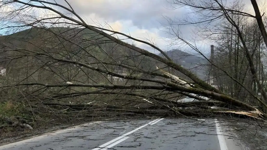 METEOROLOJİ'DEN DÖRT BÖLGE İÇİN FIRTINA UYARISI