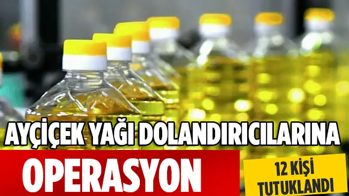 150 MİLYON LİRALIK VURGUN: 12 KİŞİ TUTUKLANDI