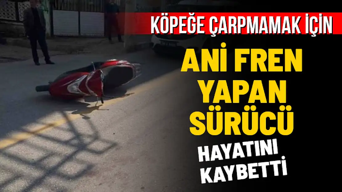 BAŞIBOŞ KÖPEK MOTOSİKLET SÜRÜCÜSÜNÜN ÖLÜMÜNE NEDEN OLDU